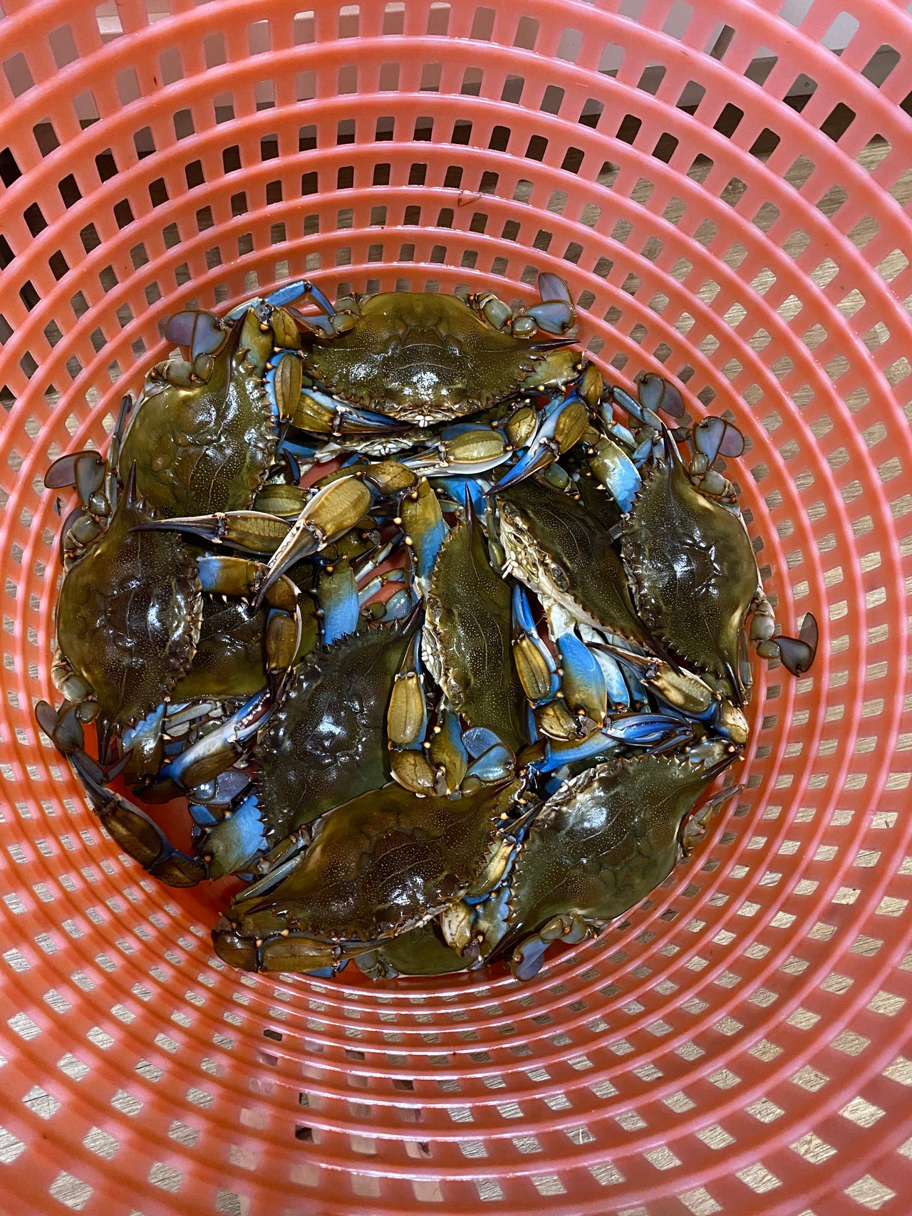 Cleaning Blue Crab